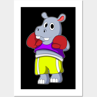 Hippo as Boxer with Boxing gloves Posters and Art